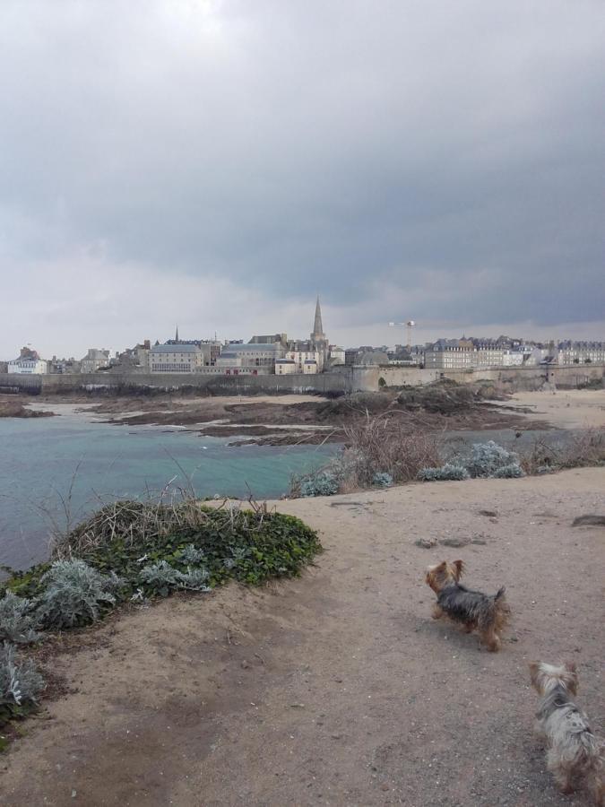 Les Bois Flottes Lägenhet Saint-Malo Exteriör bild